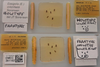 CollectionObject 2338350; USNM 361182, 5d49b2a1-52b1-4c41-8719-574c87b4cf8e: (CollectionObject).
