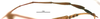 CollectionObject 1581844; dfb5258b-b321-451e-8717-c3e5f845235b: male, antenna (holotype). (CollectionObject).