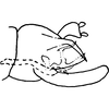 Pygofer, lateral view on Dikrella (Dikrella) imbellis (Lawson, 1930) now Dikrella (Dikrella) californica (Lawson, 1930): Genital capsule, lateral view. (Observation).