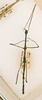 CollectionObject 1563618; 44ca52b2-7992-4958-84fd-693f6f5449b0: copyright ANSP. male (paratype). (CollectionObject).