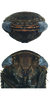Head on Bhatiahamus flabellatus (Shang & Shen, 2006): Face. (Observation).