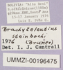 CollectionObject 1499681; dce49f88-6ee6-430a-a84a-be125ced48ec: labels. (CollectionObject).