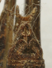CollectionObject 1536001; 0b02ec51-0a52-4db5-a02d-31074121452f: male cerci (paratype). (CollectionObject).