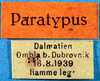 CollectionObject 1501992; 86ad421b-6aba-4ef6-9446-09708f8ce78b: labels (paratype of Conocephalus dilatatus). (CollectionObject).