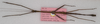 CollectionObject 1563458; f3f0f4d4-60da-4032-a4bc-4d2aa40d7f88: copyright OUMNH. male of synonym Lonchodes hosei herberti (paratype). (CollectionObject).;CollectionObject 1563459; 37de2059-a9d4-4a08-b0be-aecf1f255cbb: copyright OUMNH. male of synonym Lonchodes hosei herberti (paratype). (CollectionObject).