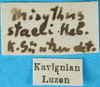 CollectionObject 1501771; 4f45882c-bda9-4285-9c34-dac55e606195: labels. (CollectionObject).