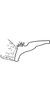 Anal tube processes on Anzygina dumbletoni (Ghauri, 1963): Anal tube process. (Observation).