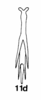Aedeagus, dorsal view on Cumora (Cumora) parallelocornis parallelocornis (Linnavuori, 1955): (Observation).