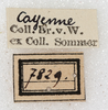 CollectionObject 1566635; NMW 7829, b6ae3cbc-3b96-4d5f-9695-628efb6fea0c: labels. (CollectionObject).