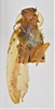 CollectionObject 1863254; f8342bdc-bf43-48a3-b2dc-bb4bac19b0bb: (CollectionObject).