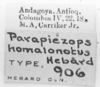 CollectionObject 1524469; 37ca632e-4d66-48f6-b67b-128a89b8053b: labels (holotype). (CollectionObject).