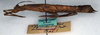 CollectionObject 1561594; NMW 60, 32e0ea99-11b4-4cd6-b71a-7954f1a5128b: copyright NMW. female, lateral view (syntype). (CollectionObject).