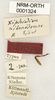 CollectionObject 1530621; 92e6af9f-82b8-45a8-a485-cfeacbd53e35: labels (allotype). (CollectionObject).