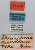 CollectionObject 1501021; bad4ec17-b724-4e14-9b62-5785e344c3e4: labels (holotype). (CollectionObject).