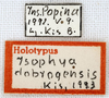 CollectionObject 1475982; f7f33ea0-a106-426e-9e61-58b3fc1898cb: labels (holotype). (CollectionObject).