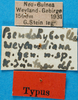 CollectionObject 1500825; 94740c93-30fa-4def-815d-c2ce4a6b57b5: labels (holotype). (CollectionObject).