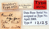 Anchoblatta signifera (Scudder, 1875): Photo by Heidi Hopkins. labels. (Otu).