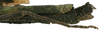 CollectionObject 1564238; 3d1b6f02-877b-4181-93f4-f2b795a34d72: copyright ISNB, Brussels. female: end of abdomen, lateral view (holotype). (CollectionObject).