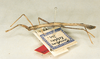 CollectionObject 1559782; 3a0acf94-da68-40f6-a885-ca8103a8051b: copyright Oliver Zompro. male (syntype). (CollectionObject).