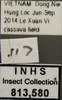 Other on Exitianus indicus (Distant, 1908): Labels. Labels for the lateral image. (Observation).