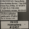 Other: Labels. Labels for the specimen used for the dorsal, lateral and face images. (Observation).