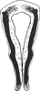 Connective on Diplocolenus (Verdanus) Oman, 1949: Connective. (Observation).