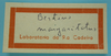 CollectionObject 1542720; DEES #10140, 820a1247-3f74-4b16-8a07-a58d373d074f: label. (CollectionObject).