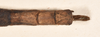 CollectionObject 1557310; 84b19771-6e85-4bab-b541-79e30db92b37: copyright OUMNH. female: end of abdomen, dorsal view (holotype). (CollectionObject).