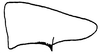 Pygofer, lateral view: Male pygofer, lateral view. (Observation).