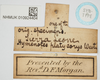 CollectionObject 1518010; 98defca6-3fba-4f41-af35-8c3c44fd9c4e, NHMUK010924404: labels (syntype). (CollectionObject).