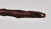CollectionObject 1558559; d175cf57-13bf-4202-bdc4-79a45254a6cc: copyright NTUC. male: end of abdomen, dorsal view (syntype). (CollectionObject).;CollectionObject 1558560; 79f3f8cc-d56f-40aa-b01f-edb53ef13999: copyright NTUC. male: end of abdomen, dorsal view (syntype). (CollectionObject).