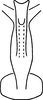 Aedeagus, ventral view on Erythridula rufostigmosa (Beamer, 1930): Aedeagus, ventral view. (Observation).