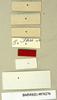 CollectionObject 1573108; 0c9ff18d-82e9-4e88-9c55-5838c391afb3: Copyright Natural History Museum, London. Labels from non-type (adult female) in BM(NH). (CollectionObject).