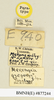 CollectionObject 1570996; 052aa75a-c818-4e37-96fb-e1dab15c38ee: labels (paratype). (CollectionObject).