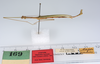 CollectionObject 1560352; fcf0d131-626a-42f1-ae67-34154078e514: copyright ZMUH, Hamburg. male: lateral view of Sipyloidea normalis (plt). (CollectionObject).