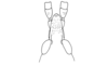 Leptalacris fastigiata Descamps & Rowell, 1978: Fig. 11. female head, dorsal view. (Otu).