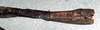CollectionObject 1561658; NMW 360, 8b289def-01c7-4a47-8648-df04a7f743dd: copyright NMW, Vienna. female: end of abdomen, lateral view (syntype). (CollectionObject).