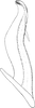 Aedeagus, lateral view on Falcitettix (Falcitettix) pseudagropyri (Emeljanov, 1966): Aedeagus, lateral view (M. iunsurenae). (Observation).