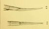 CollectionObject 1560909; 01632223-ea05-45f9-9d65-fc653ff1f64d: original publication. (CollectionObject).