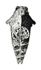 Cladonotella gibbosa (Haan, 1843): Fig. 33. female, dorsal view. (Otu).