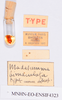 CollectionObject 1540413; bc985d5f-1d11-410d-a2e9-a00e473540d7: labels (holotype). (CollectionObject).