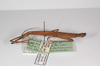 CollectionObject 1584199; 160b7061-10ba-4bff-8264-24f0c3ed3c47: copyright MHNG, Geneva. female, lateral view (holotype). (CollectionObject).