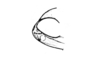 Bogotacris varicolor (Stål, 1878): Fig. 69. male, head, lateral view. (Otu).