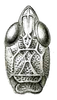 Scirtotypus aberrans Brunner von Wattenwyl, 1898: Pl. XVII, Fig. 27a. female face. (Otu).