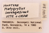 CollectionObject 1522780; 6476deb1-71a6-4548-860d-ad3c2fbcc6de: Male, labels (holotype). (CollectionObject).