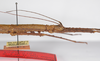 CollectionObject 1560172; 394129f9-285a-4214-b1dc-afa7e79dede9: copyright ZMB, Berlin. female: head and thorax, lateral view (holotype). (CollectionObject).