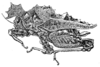 Misythus cristicornis (Walker, 1871): Pl. XXI, Fig. 3 (Polillo Island, Luzon). female, lateral view (body length 11-12.3 mm, pronotum 13.8-15 mm). (Otu).