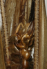 CollectionObject 1535152; b1bfa7a8-b368-43c5-ba26-d93a62cbfab9: female subgenital plate (lectotype). (CollectionObject).