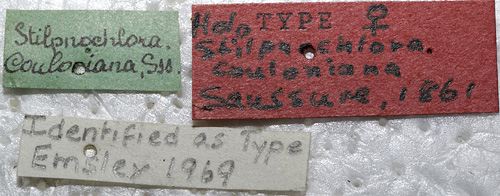 labels (holotype). Depicts CollectionObject 1505943; 1e55f3c9-d789-4e66-8ba1-0608b48332e7, a CollectionObject.