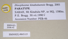 Dinophasma kinabaluense Bragg, 2001: copyright Natural History Museum, London. female (paratype). (Otu).